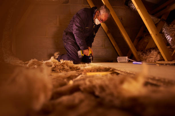 Best Insulation Air Sealing  in Roosevelt, NY